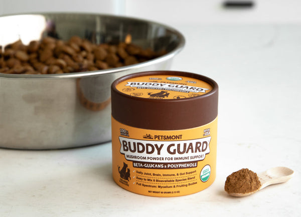 Where Education Meets Loyalty in the Pet Space