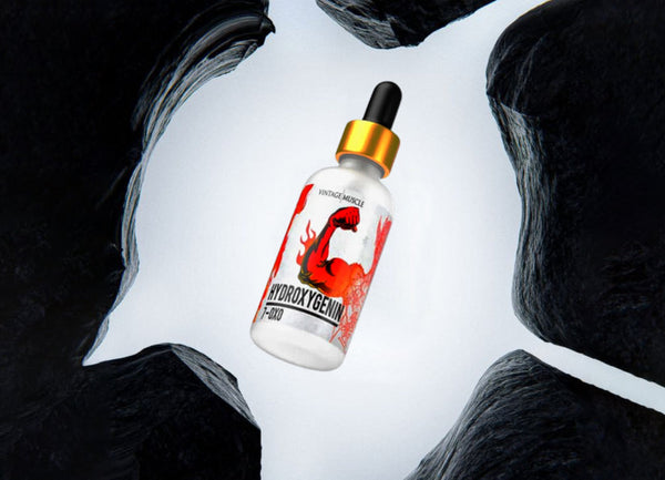 Turning Traffic Into Transactions With Lifecycle Precision